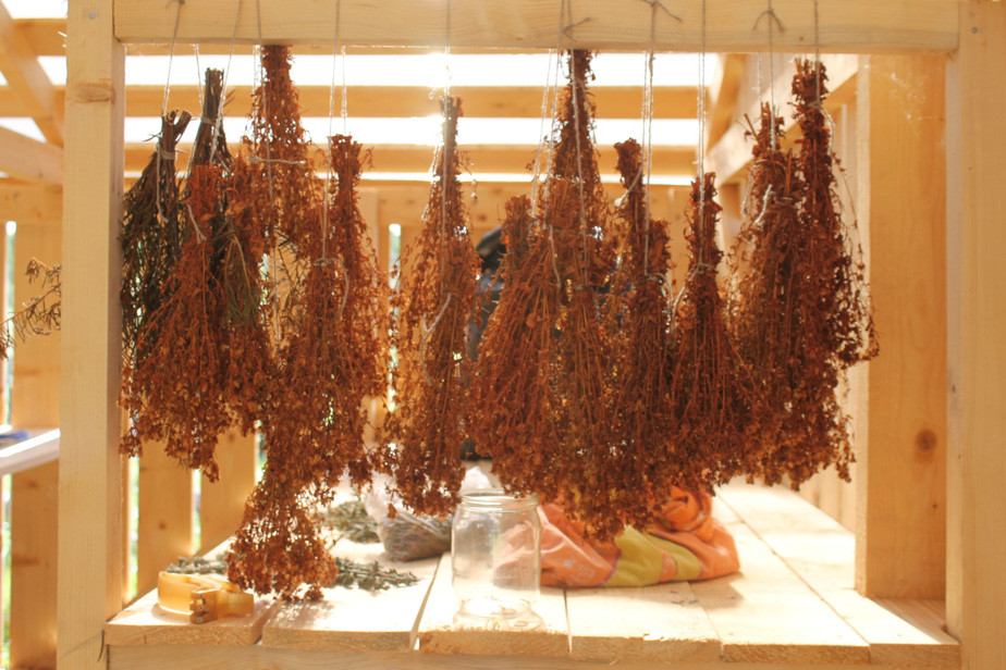 %D0%A1%D0%B1%D0%BE%D1%80%20%D1%82%D1%80%D0%B0%D0%B2%20%D0%B2%20%D0%BD%D0%B0%D1%86%D0%B8%D0%BE%D0%BD%D0%B0%D0%BB%D1%8C%D0%BD%D0%BE%D0%BC%20%D0%BF%D0%B0%D1%80%D0%BA%D0%B5%20%D0%A1%D0%BC%D0%BE%D0%BB%D0%B5%D0%BD%D1%81%D0%BA%D0%BE%D0%B5%20%D0%9F%D0%BE%D0%BE%D0%B7%D0%B5%D1%80%D1%8C%D0%B5.%202016%20%D0%B3%D0%BE%D0%B4