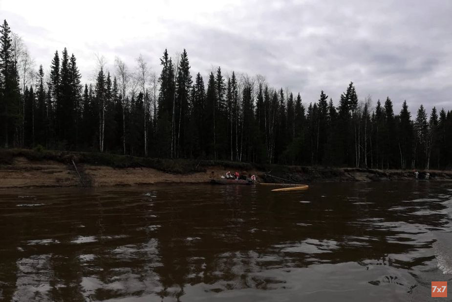 Сбор нефти в устье реки Колвы, утро 16 мая 2021 года