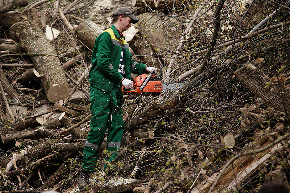 За три года активисты превратили Рачевский овраг в парк. Фото предоставлено героем материала