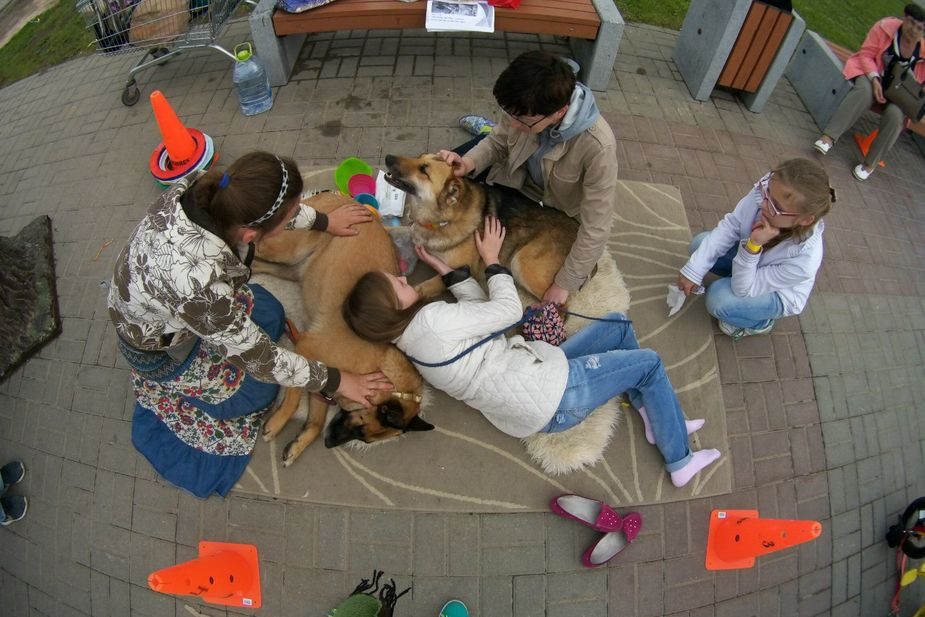 Городской фестиваль «ДивоФест». Фото из группы «Нового Ковчега» ВКонтакте
