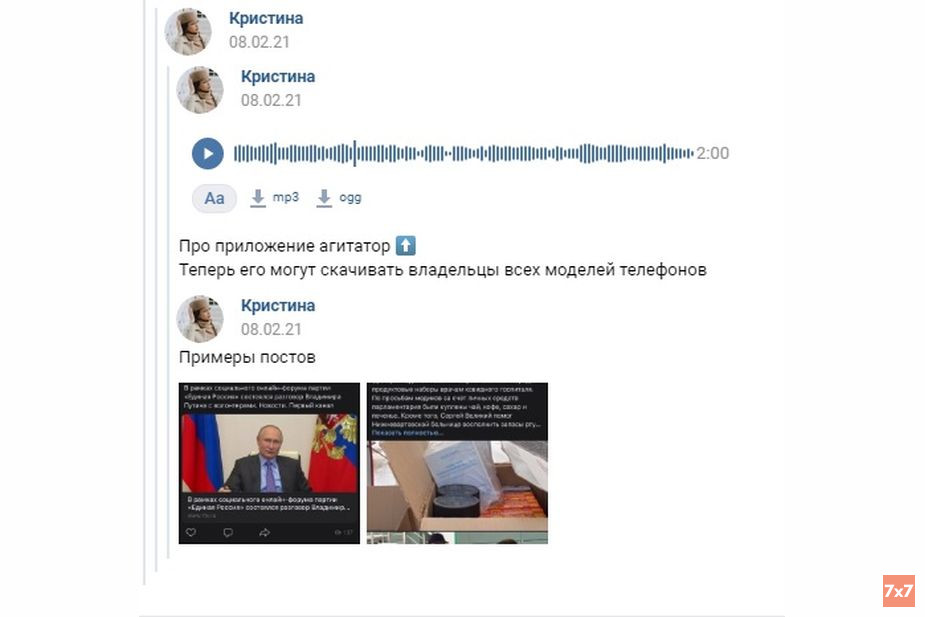 Скрин переписки 