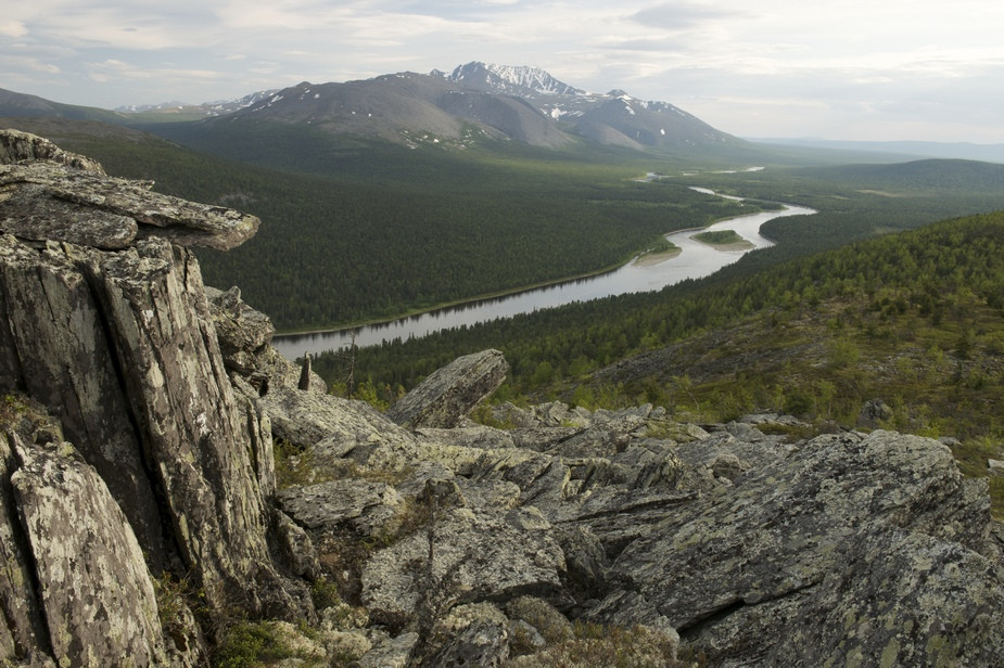 Девственные леса Коми