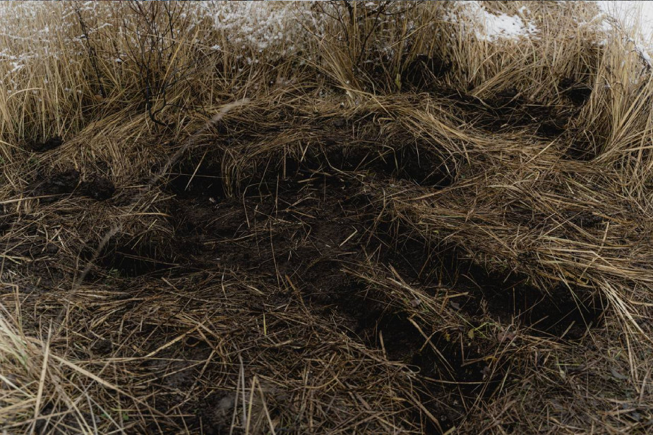 Фото Анастасии Солодовниковой