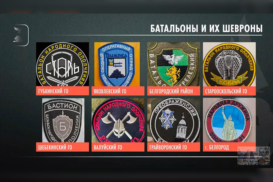 Стоп-кадр из трансляции Вячеслава Гладкова во «ВКонтакте»: https://vk.com/gladkov_vv?w=wall639631882_966211/