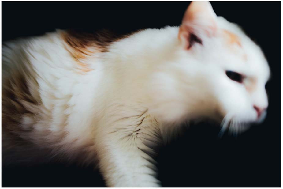 Фото Владимира Аверина для «Новой вкладки»