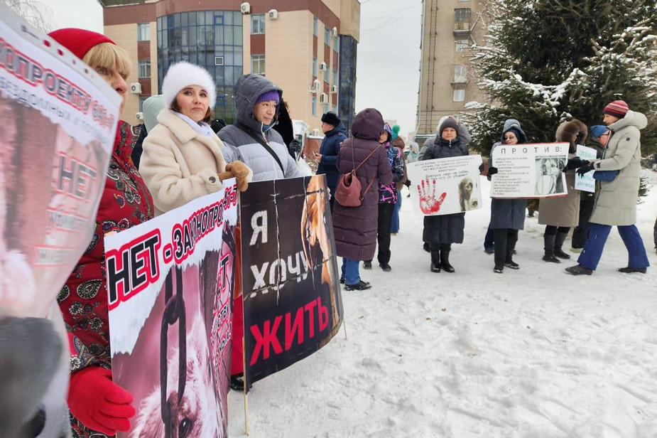 Митинг против эвтаназии бездомных животных в Новосибирске, 23 ноября 2025 года. Фото: Александра Моисеева / Сиб.фм