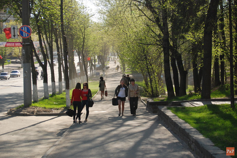 Улица Николаева весной - деревья вдоль дороги планируется вырубить