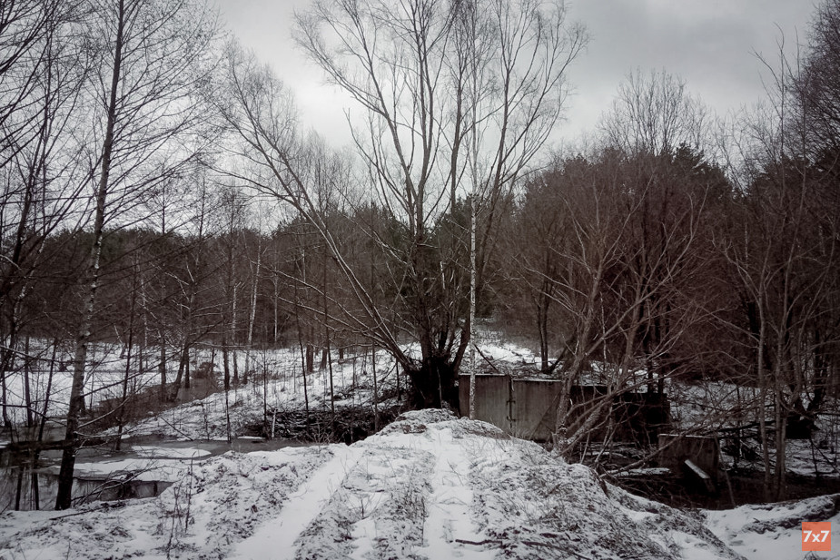 По словам жительницы Нового Ропска, отсюда вооруженная группа пришла в село. Озеро и лес рядом с границей не защищены оборонительными сооружениями. Фото «7х7»