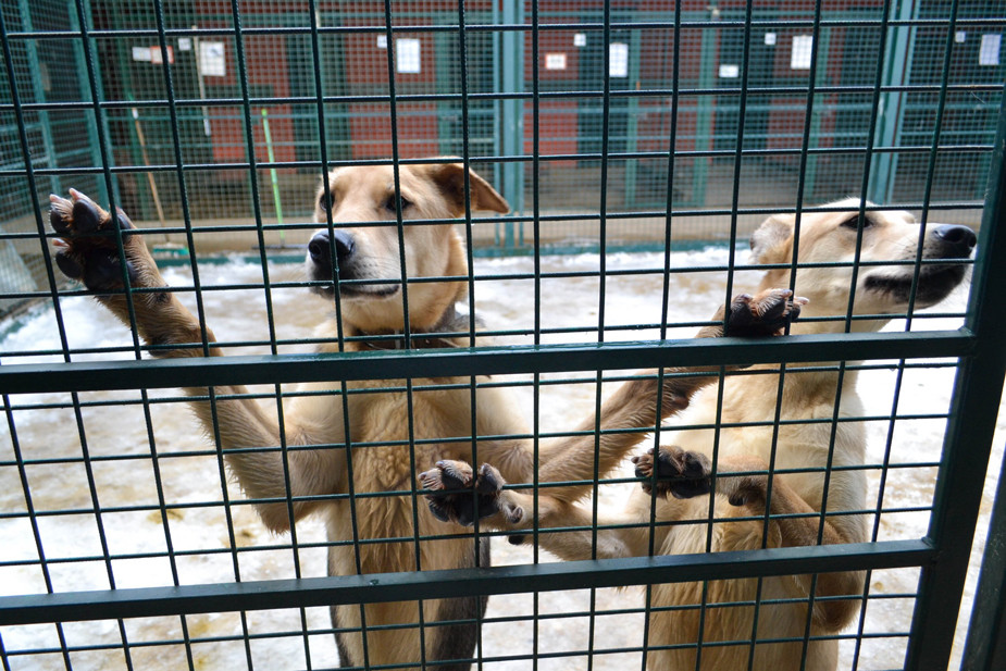 Фото: АГН «Москва»