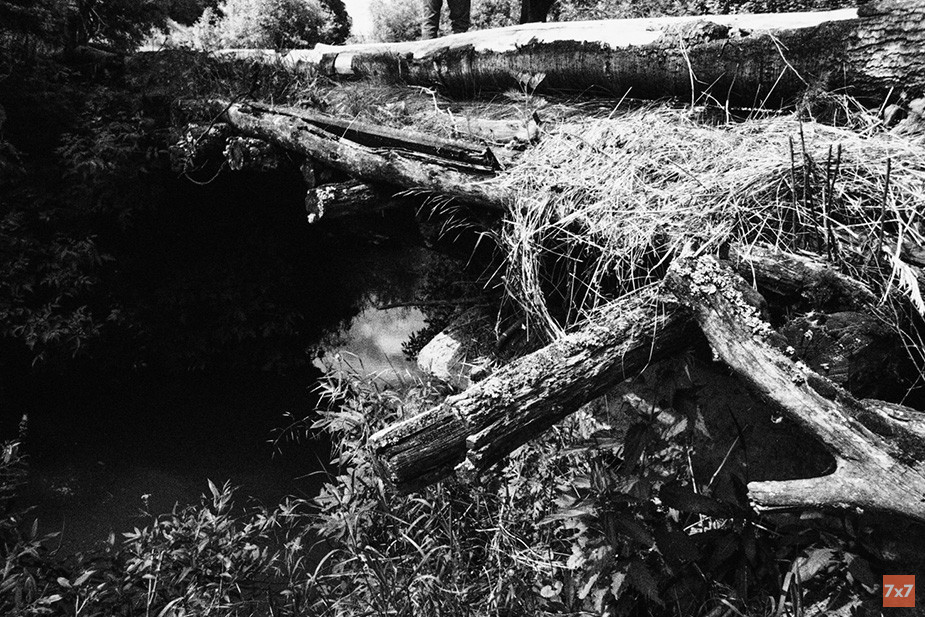 Мост в деревне Голов. Фото: Любовь Неверова для «7х7»