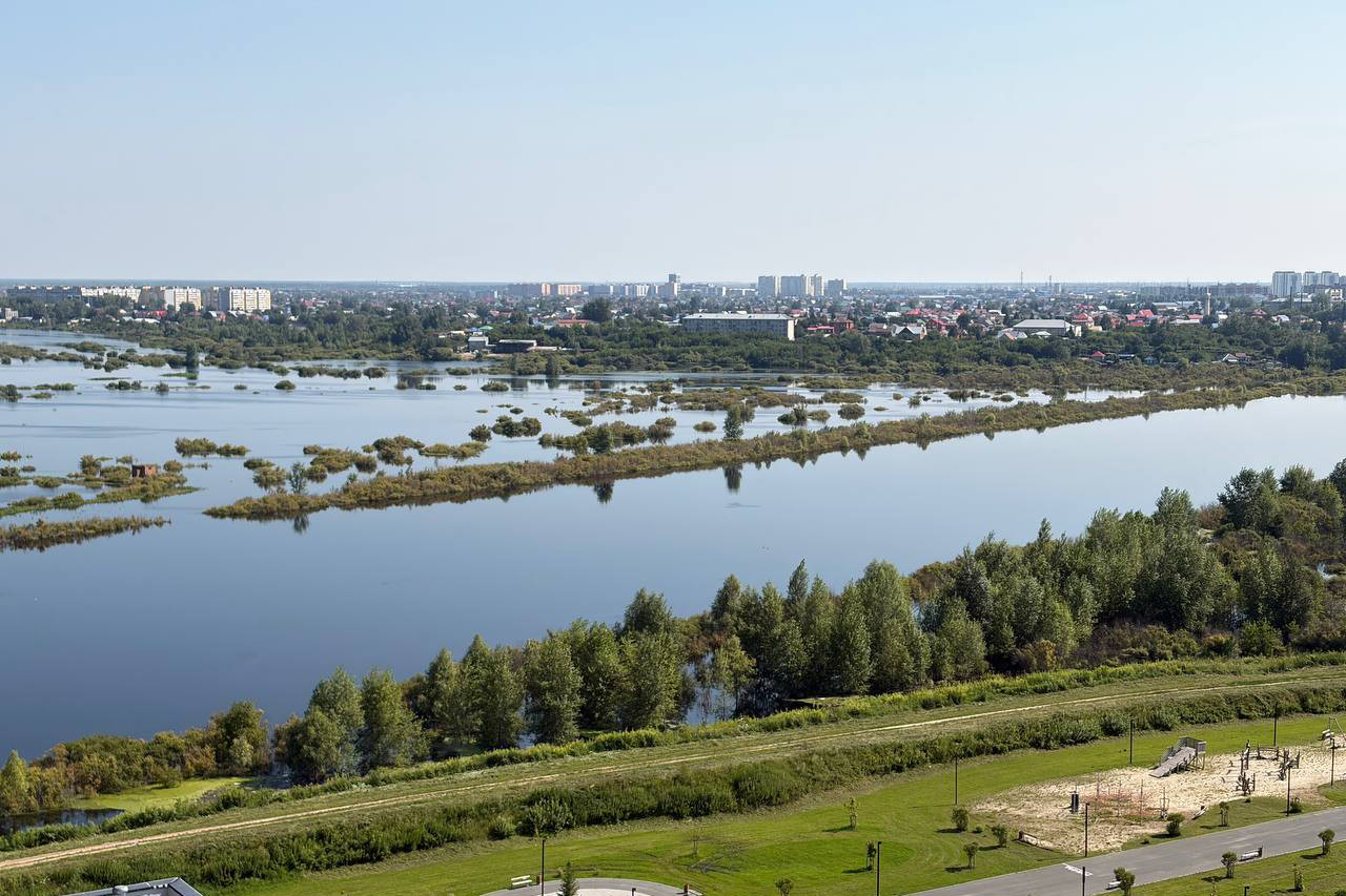Река Тура. Фото: сообщество «Право на воду  Тюмень» / Telegram