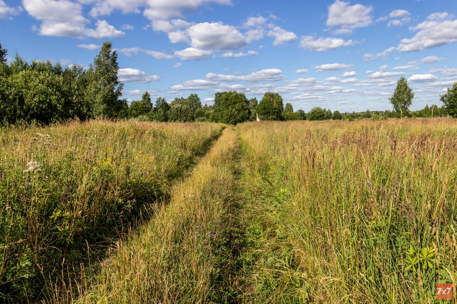 Фото Алексея Сабельского
