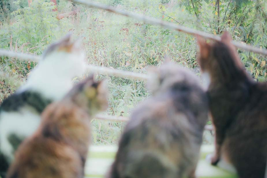 Фото Владимира Аверина для «Новой вкладки»
