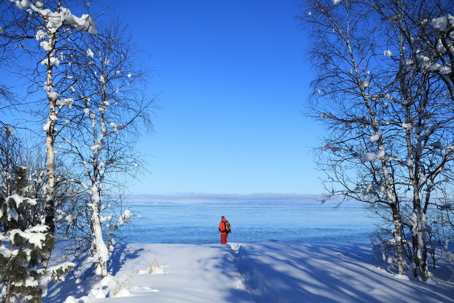 Фото: Igor Tverdovskiy / Unsplash