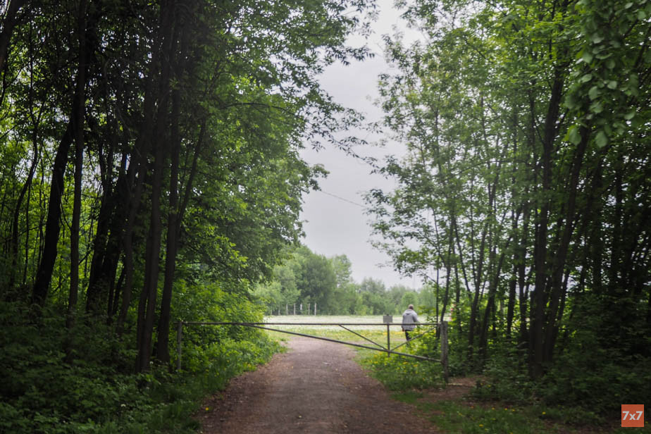 Дорога к будущей школе