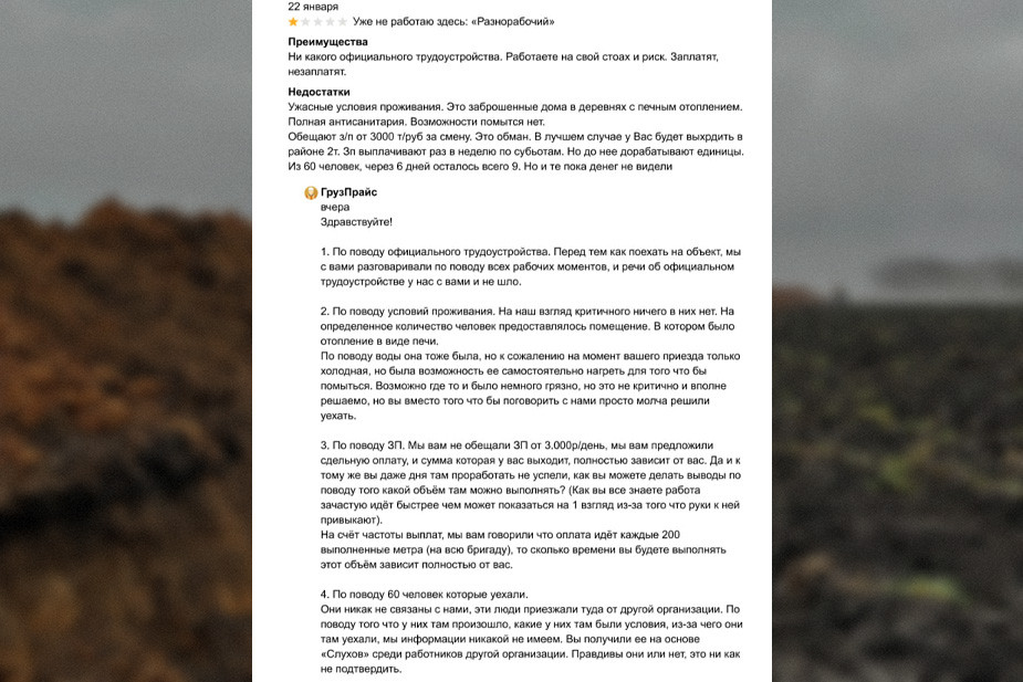 Отзыв под объявлением и ответ на него. Скриншот объявления на «Авито»