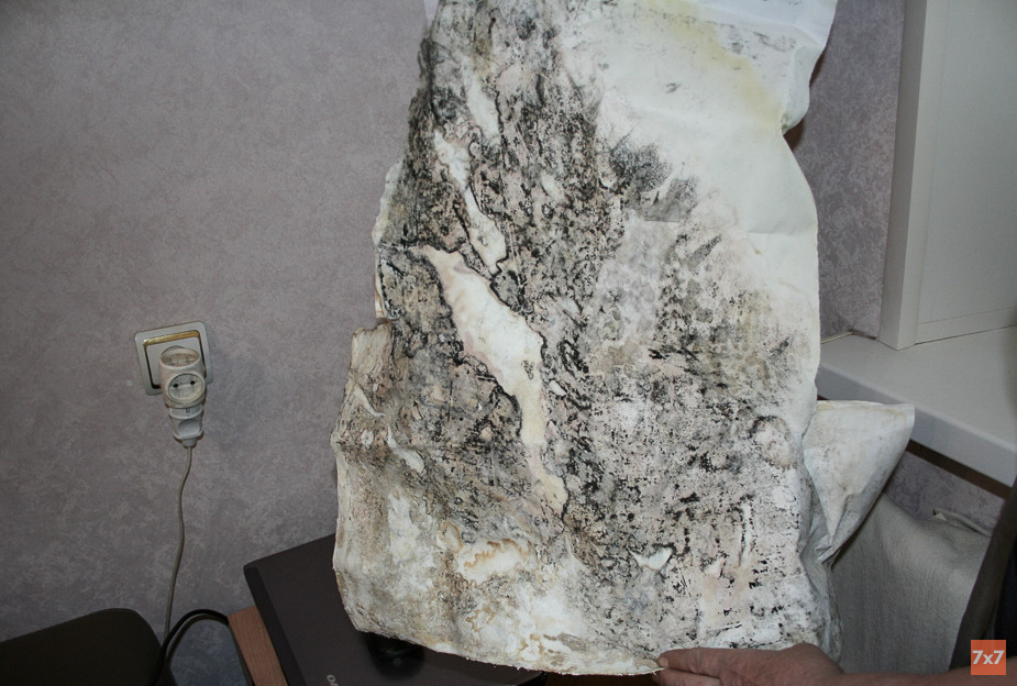 %D0%9C%D0%B5%D0%B6%D0%BF%D0%B0%D0%BD%D0%B5%D0%BB%D1%8C%D0%BD%D1%8B%D0%B5%20%D1%88%D0%B2%D1%8B%20%D0%B2%20%D0%B4%D0%BE%D0%BC%D0%B5%20%E2%84%967%20%D0%B7%D0%B0%D0%BC%D0%B0%D0%B7%D0%B0%D0%BB%D0%B8%2C%20%D0%BD%D0%BE%20%D0%BF%D1%80%D0%BE%D1%82%D0%B5%D1%87%D0%BA%D0%B8%20%D0%B2%20%D0%BA%D0%B2%D0%B0%D1%80%D1%82%D0%B8%D1%80%D0%B0%D1%85%20%D0%BD%D0%B5%20%D0%BF%D1%80%D0%B5%D0%BA%D1%80%D0%B0%D1%82%D0%B8%D0%BB%D0%B8%D1%81%D1%8C