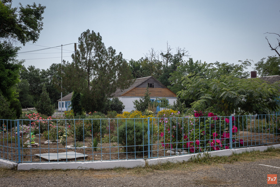 Цветник посреди школьного двора. Фото «7х7»