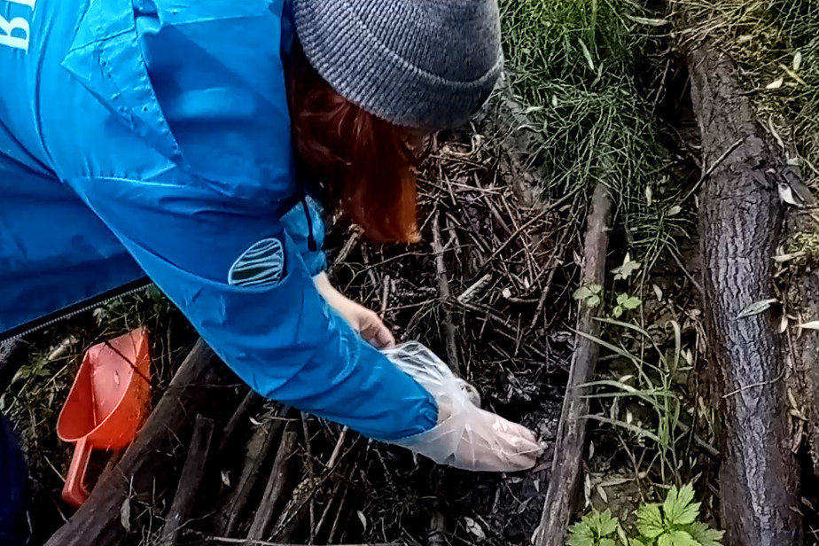 Фото из экспедиции предоставлено Иваном Ивановым