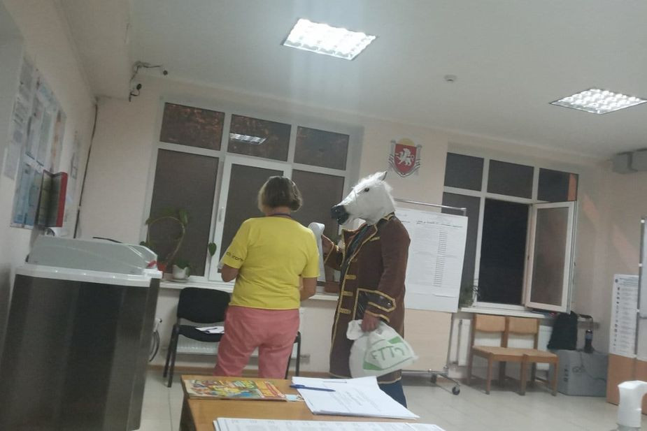 Конь в пальто на одном из участков в Ялте