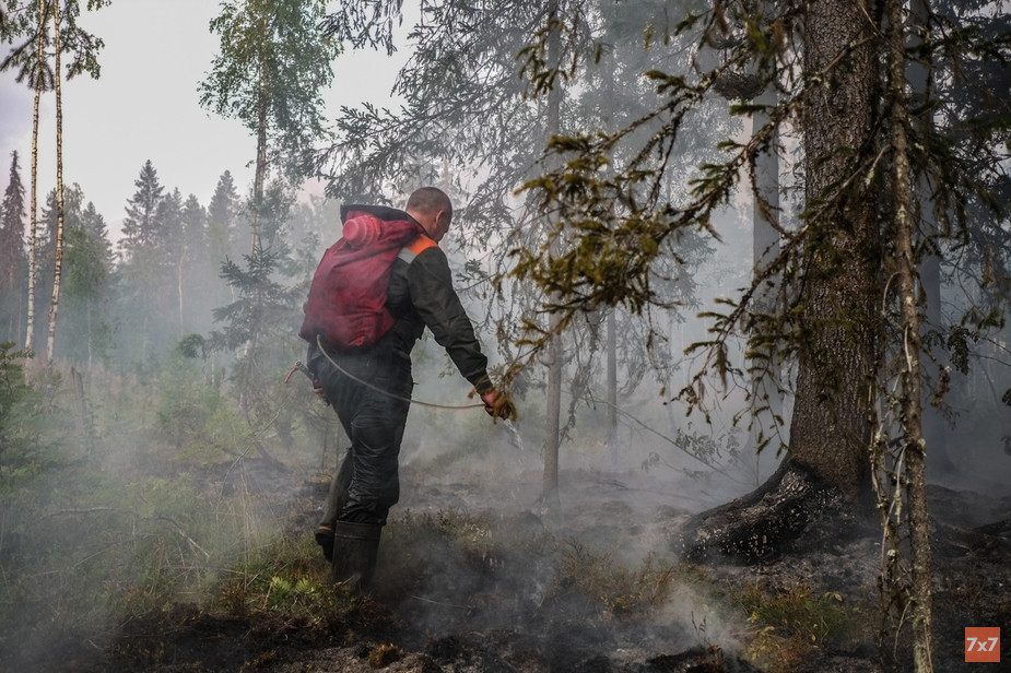 Фото Андрея Макарова