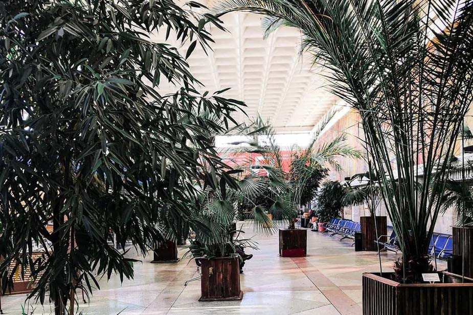 Оранжерея внутри здания ж/д вокзала