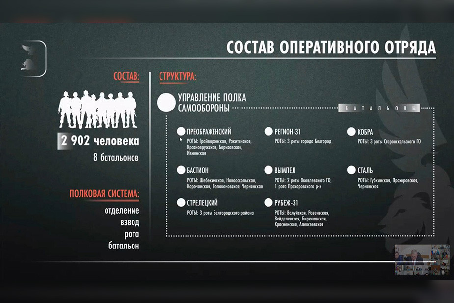 Стоп-кадр из трансляции Вячеслава Гладкова во «ВКонтакте»: https://vk.com/gladkov_vv?w=wall639631882_966211/