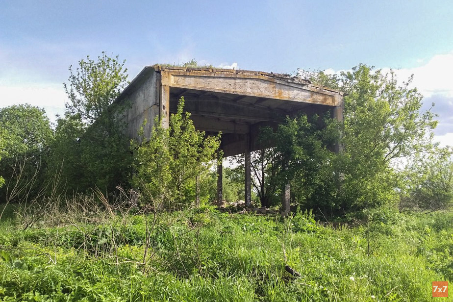 Земельный участок, который администрация выделила Ноздрачёвой под частный приют. Фото Павла Герасина