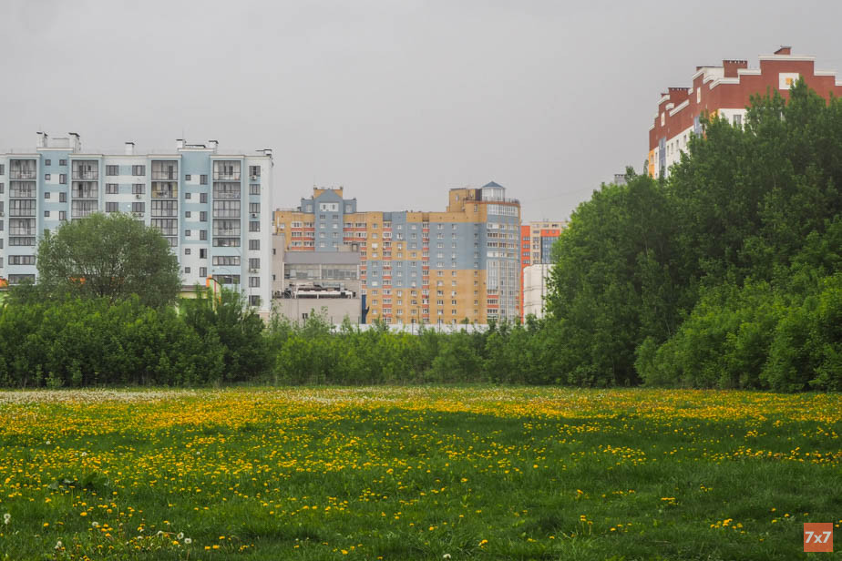 На этом поле хотят построить школу