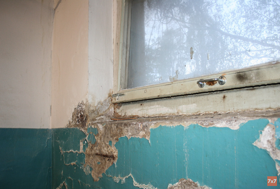 %D0%9A%D1%80%D0%B0%D1%81%D0%BA%D0%B0%20%D0%B8%20%D1%88%D1%82%D1%83%D0%BA%D0%B0%D1%82%D1%83%D1%80%D0%BA%D0%B0%20%D0%B2%20%D0%BF%D0%BE%D0%B4%D1%8A%D0%B5%D0%B7%D0%B4%D0%B5%20%D0%B4%D0%BE%D0%BC%D0%B0%20%E2%84%967%20%D0%BE%D0%B1%D0%BB%D1%83%D0%BF%D0%B8%D0%BB%D0%B0%D1%81%D1%8C%20%D0%BE%D1%82%20%D1%81%D1%8B%D1%80%D0%BE%D1%81%D1%82%D0%B8