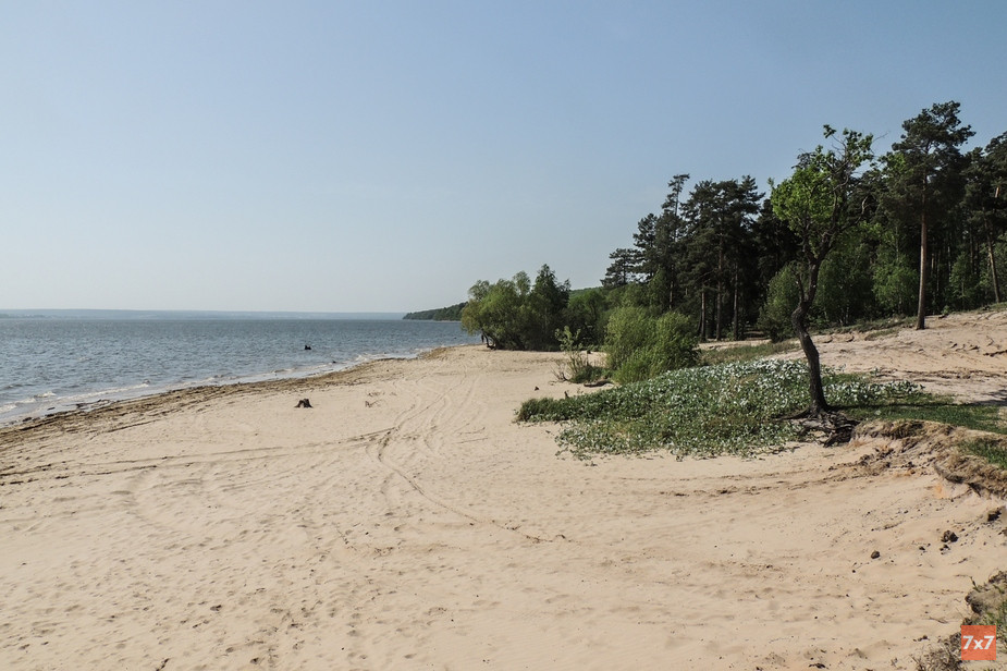Берег Сурского водохранилища