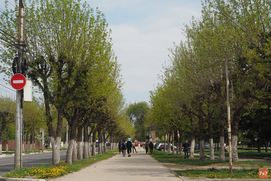 улд. Есенина