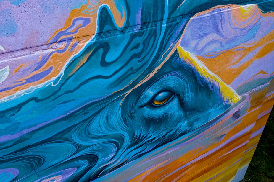 Фото Игоря Фролова