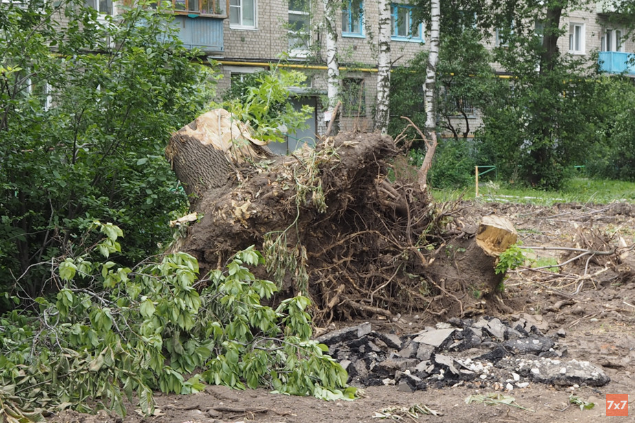 Дворе на улице Гагарина, 48