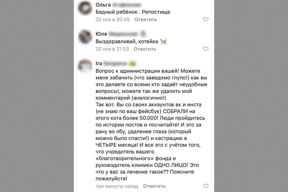 Скриншоты из паблика фонда