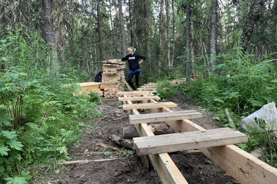 Строительство стланей в заповеднике