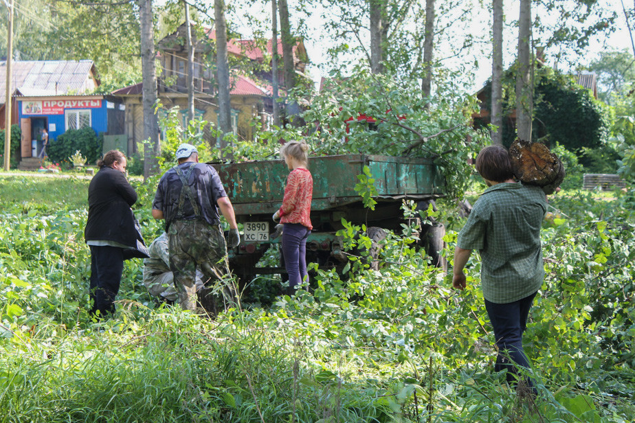 %D0%A0%D0%B0%D1%81%D1%87%D0%B8%D1%81%D1%82%D0%BA%D0%B0%20%D0%BF%D0%B0%D1%80%D0%BA%D0%B0%20%D0%B2%20%D0%A2%D1%83%D1%82%D0%B0%D0%B5%D0%B2%D0%B5.%202016%20%D0%B3%D0%BE%D0%B4