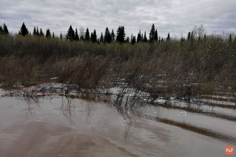 Нефть в устье реки Колвы, утро 16 мая 2021 года