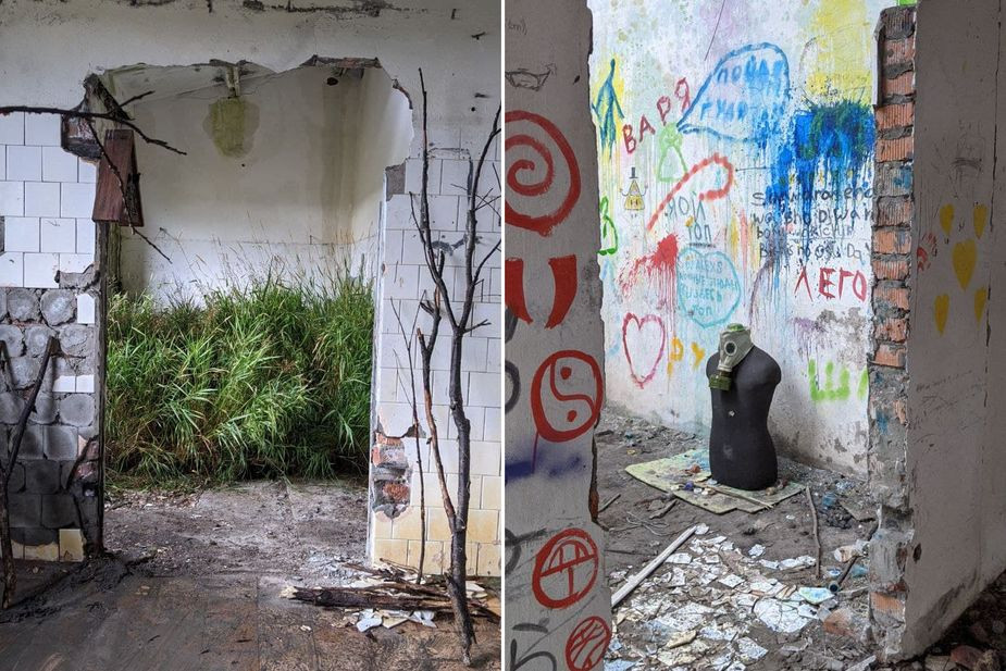 Выставка уличного искусства "Коровник"