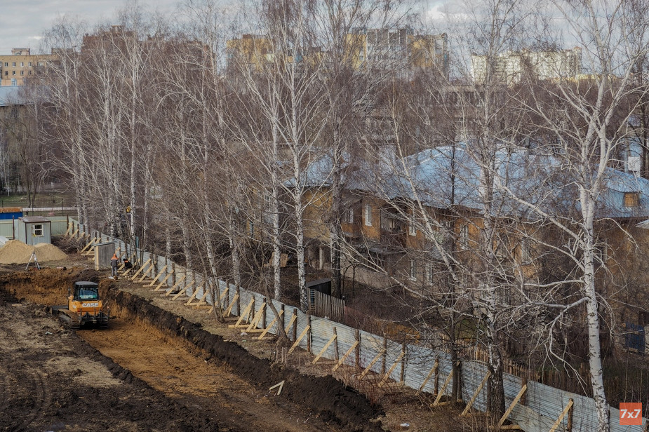 Эти березы могут снести