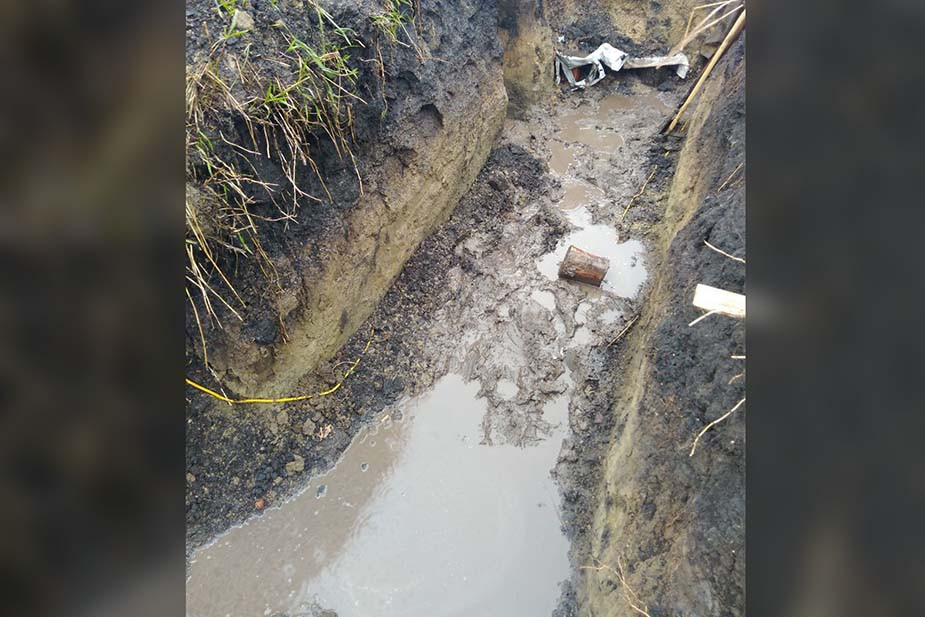 Фото предоставлено «7х7»