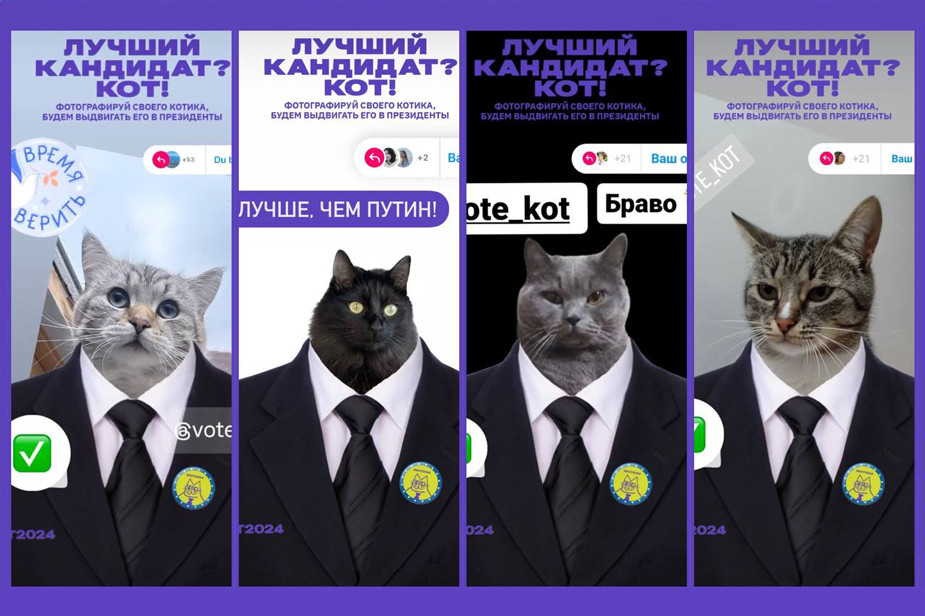 Флешмоб с котами. Иллюстрация: «Если не Путин, то Кот» / Telegram