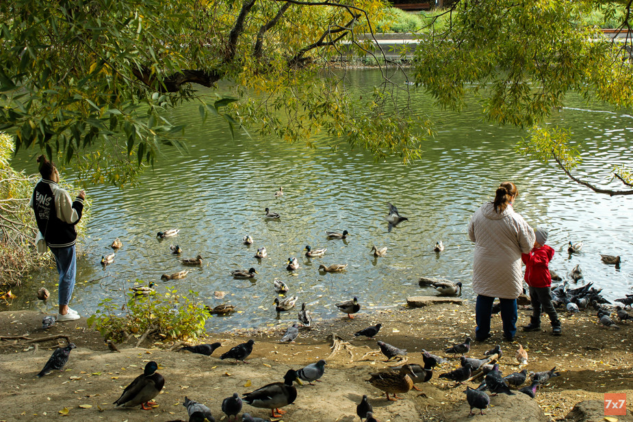 Дендрологический парк. Фото для «7х7»