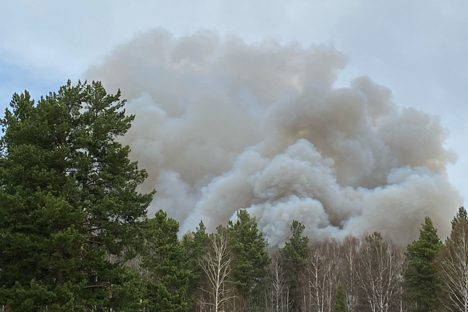 Лесной пожар в Тюменской области. Фото Анны Тунгусовой