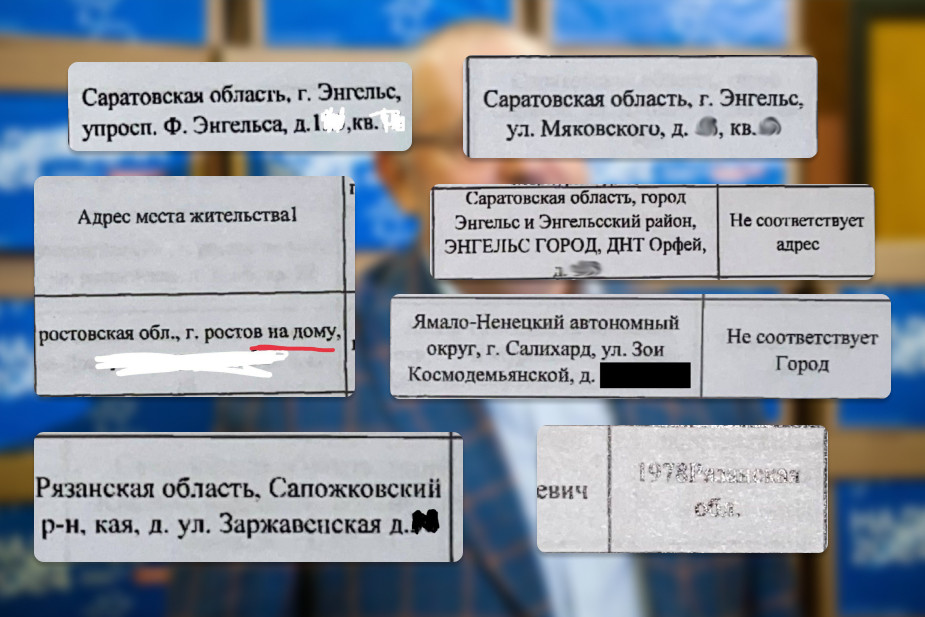 «Ошибки», которые Центризбирком изначально посчитал как брак в подписях Бориса Надеждина