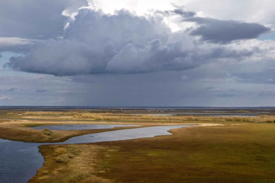 Куноватский заказник 