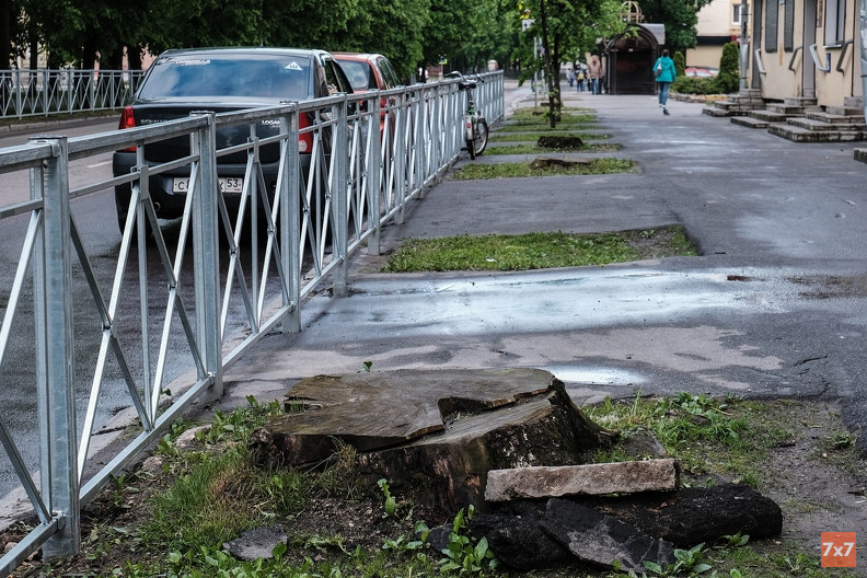 %D0%A3%D0%BB%D0%B8%D1%86%D0%B0%20%D0%A7%D1%83%D0%B4%D0%B8%D0%BD%D1%86%D0%B5%D0%B2%D0%B0%20%D0%B2%20%D0%92%D0%B5%D0%BB%D0%B8%D0%BA%D0%BE%D0%BC%20%D0%9D%D0%BE%D0%B2%D0%B3%D0%BE%D1%80%D0%BE%D0%B4%D0%B5.%20%D0%A4%D0%BE%D1%82%D0%BE%20%D0%90%D0%BB%D0%B5%D0%BA%D1%81%D0%B0%D0%BD%D0%B4%D1%80%D0%B0%20%D0%9A%D0%B8%D1%80%D0%B8%D0%BB%D0%BB%D0%BE%D0%B2%D0%B0