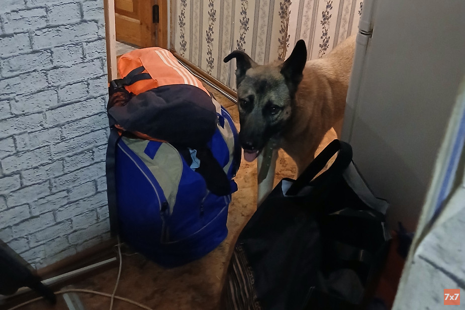 Анне пришлось за день собрать вещи для эмиграции и найти, кому оставить Мирта