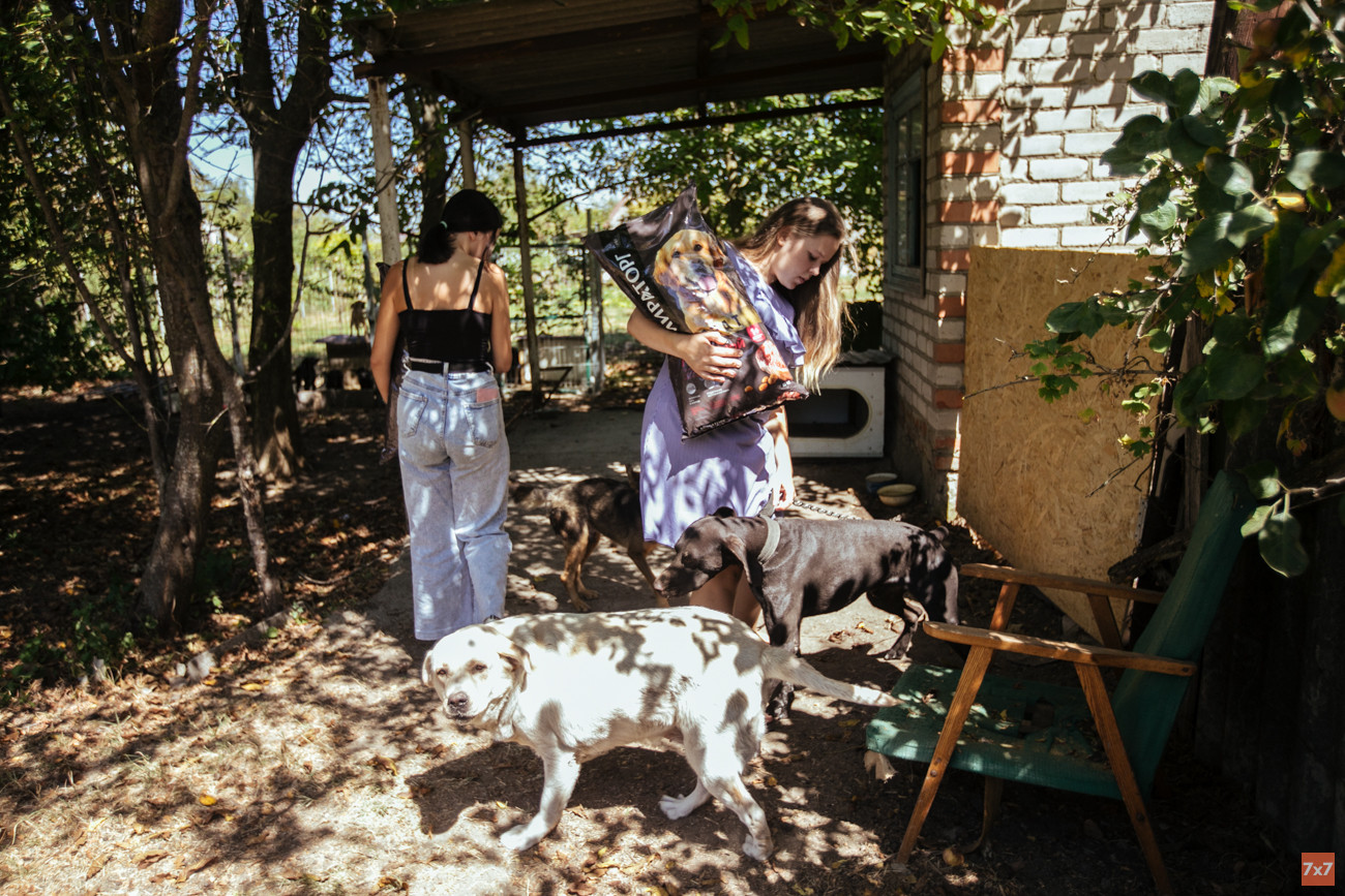 Люда и ее сестра Оля на территории приюта — в ожидании еды собаки атаковали их. На переднем плане — лабрадор Джесси, найденная на мусорном полигоне