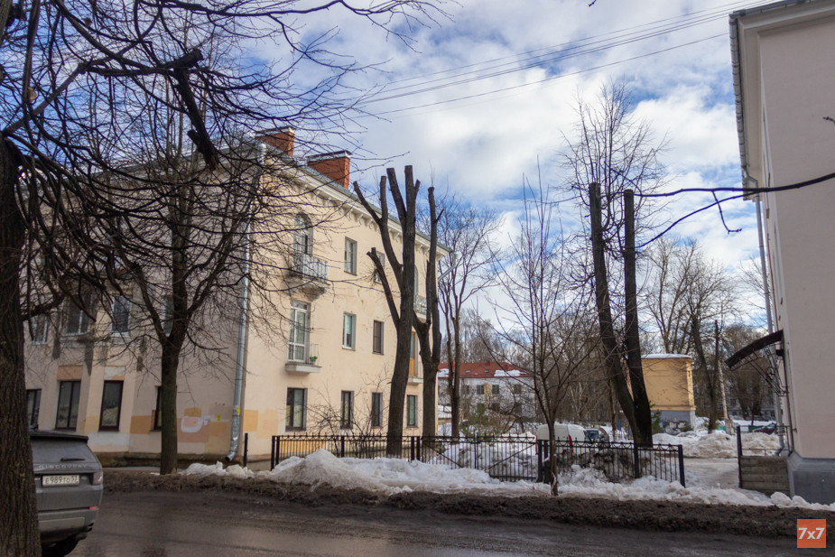 Обрезка деревьев формата «топпинг»